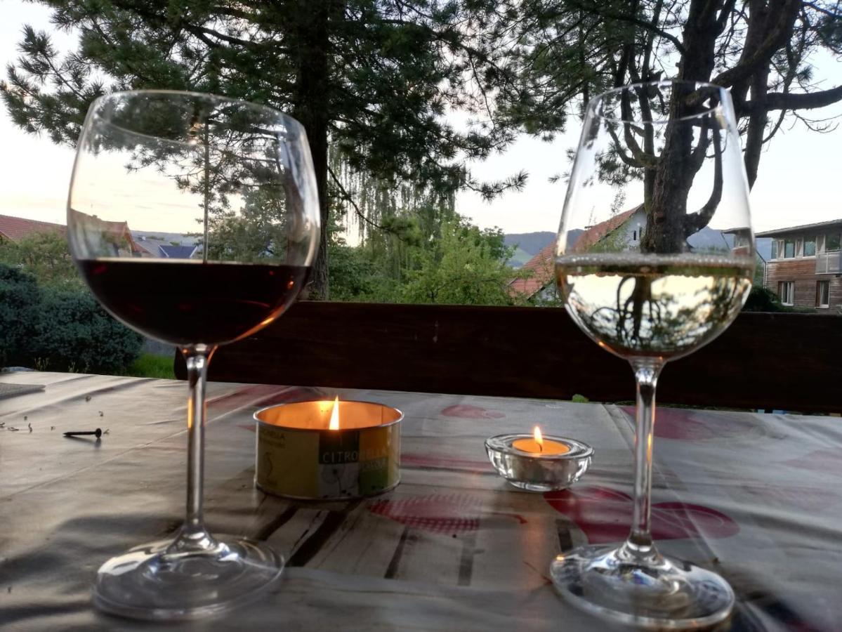 Ferienwohnung Bliem Feldkirchen in Kärnten エクステリア 写真