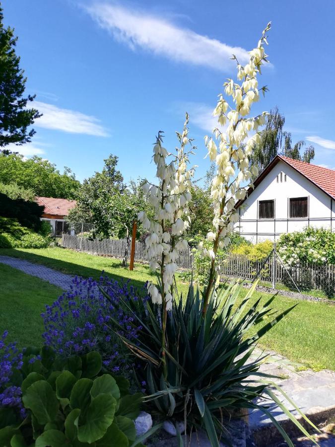 Ferienwohnung Bliem Feldkirchen in Kärnten エクステリア 写真
